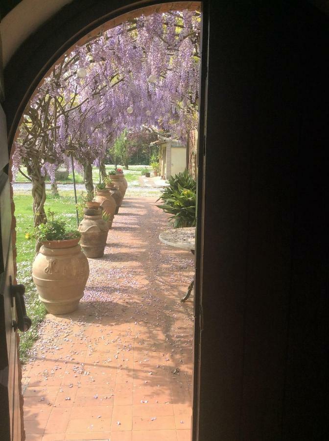 Bed And Breakfast Queen Pisa Exterior photo